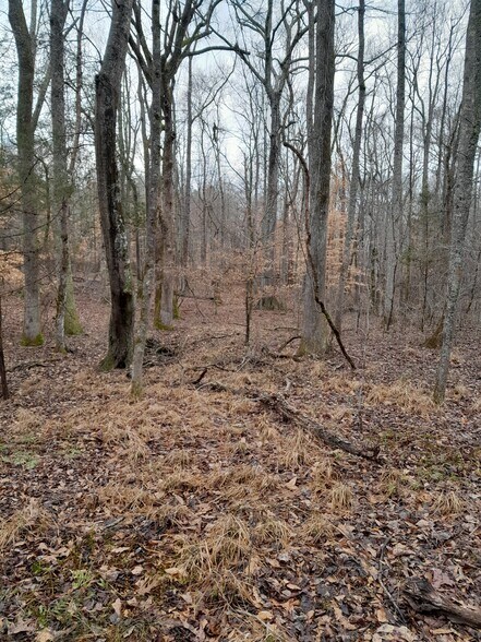 More Photos Of Lester Mill @ Frog RD, Locust Grove Land For Sale