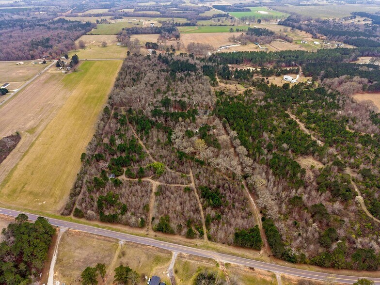 More Photos Of 250 Lee Paul Rd, Hawkinsville Land For Sale