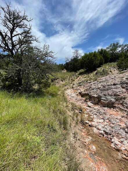 More Photos Of 221 W Rolling Oaks Dr, Goldthwaite Land For Sale