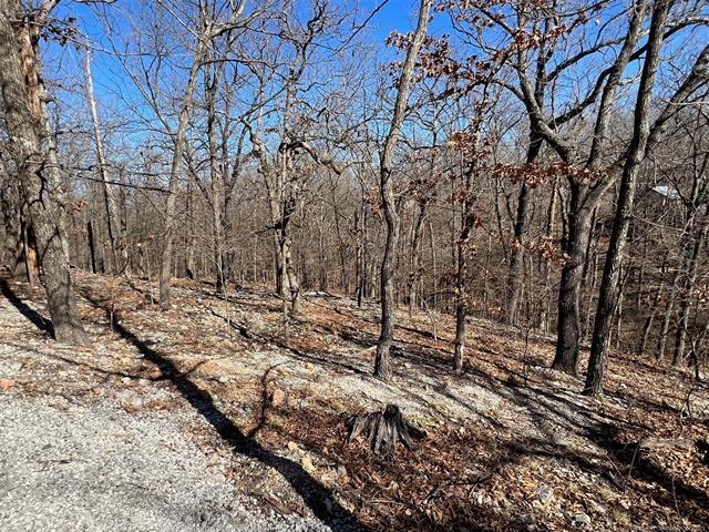 More Photos Of 450630 S Old Mill Road, Afton Trailer Camper Park For Sale