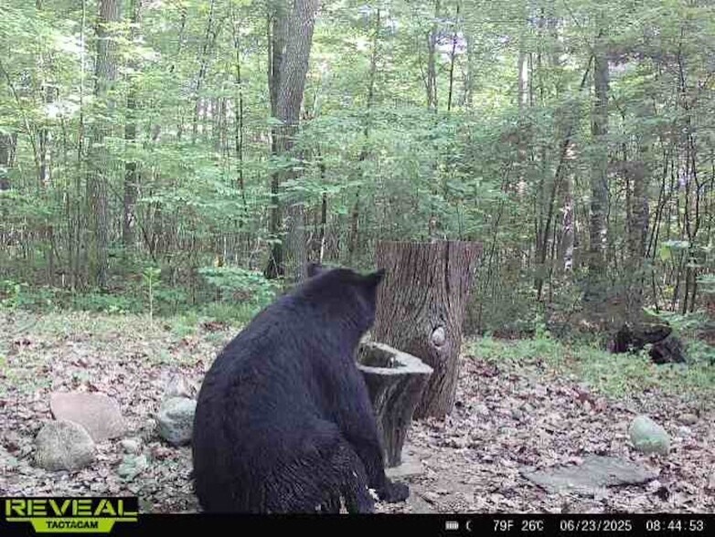 More Photos Of Fisher Road, Iola Land For Sale