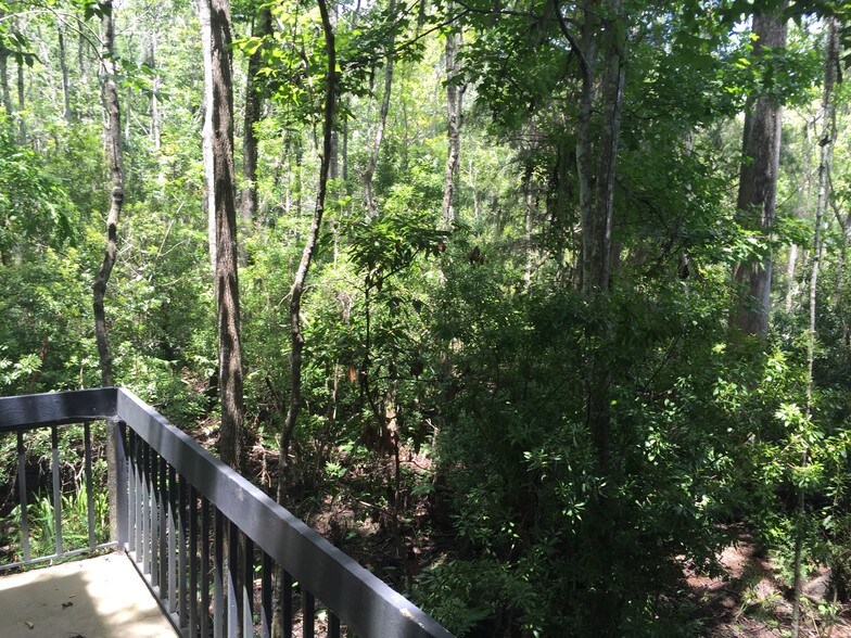 More Photos Of 2301 Park Ave, Orange Park Medical For Lease