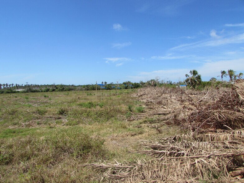 More Photos Of H. Stringfellow, Bokeelia Land For Sale