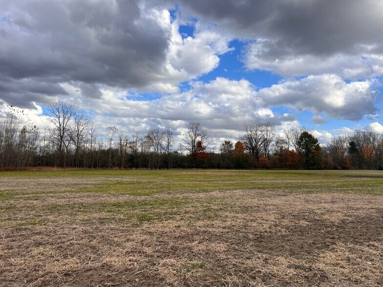 More Photos Of 0 Court St, Davison Land For Sale