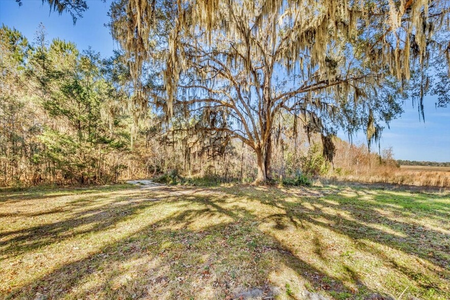 Primary Photo Of 580 Old Gress Island Rd, Midway Land For Sale