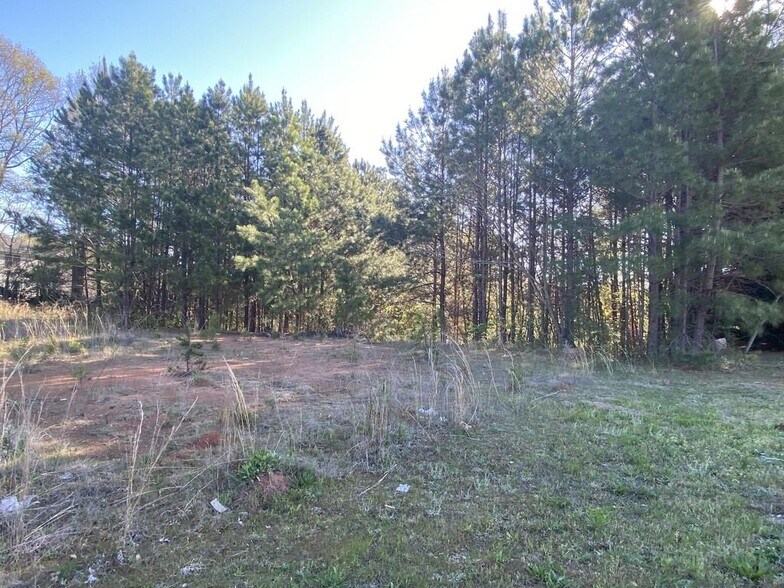 More Photos Of Big A -1 @ Fernside, Toccoa Land For Sale