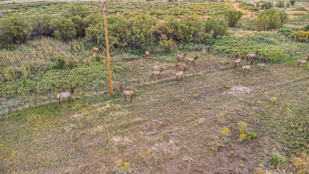 More Photos Of 41009 County Road 5, Meeker Industrial For Sale