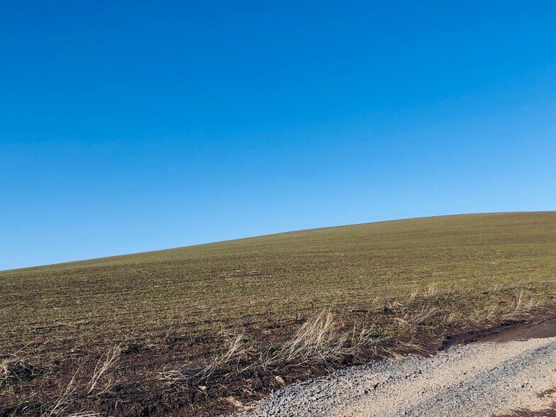 Primary Photo Of 122 Sand Buckler Dr, Pullman Land For Sale