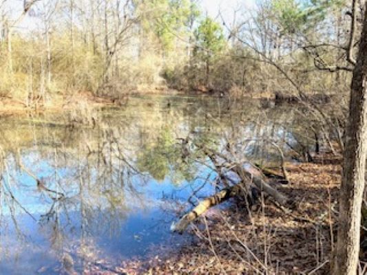 More Photos Of 0 Oak Street, Selma Land For Sale