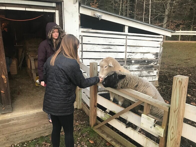 More Photos Of 399 Depot St, Proctorsville Hospitality For Sale