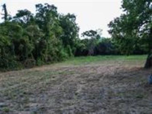 More Photos Of 200 Woodson st, Willis Land For Sale