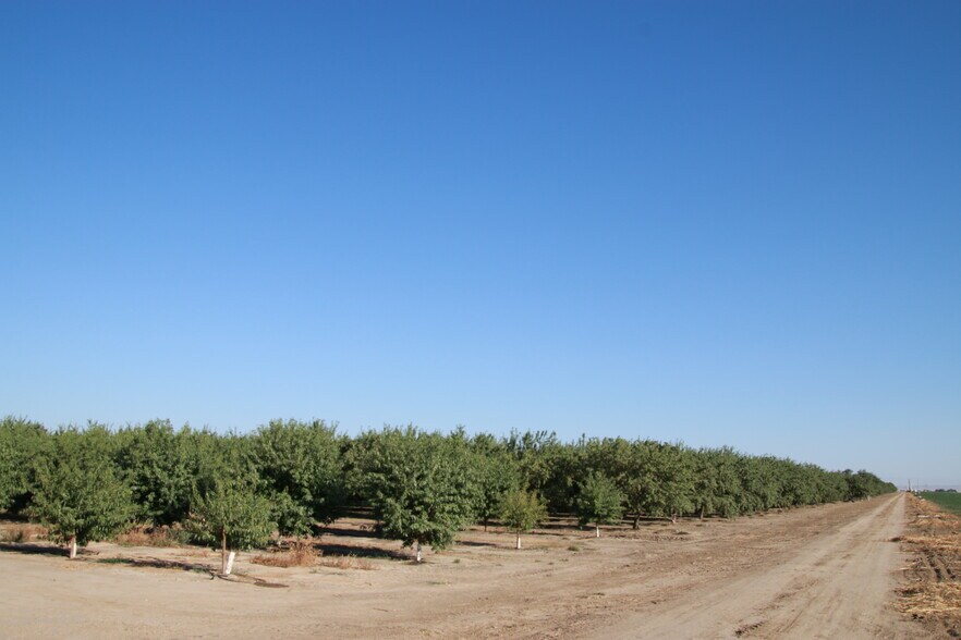 More Photos Of 18045 Magnolia Ave, Shafter Land For Sale
