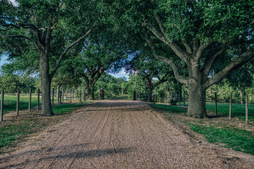 More Photos Of 1034 Hilbun Rd, New Ulm Land For Sale