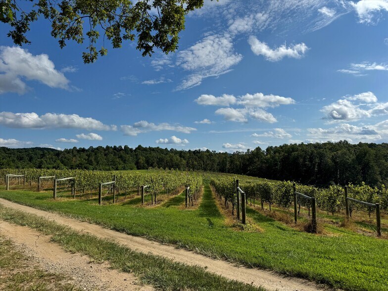 More Photos Of 781 Payne dr, Zirconia Land For Sale