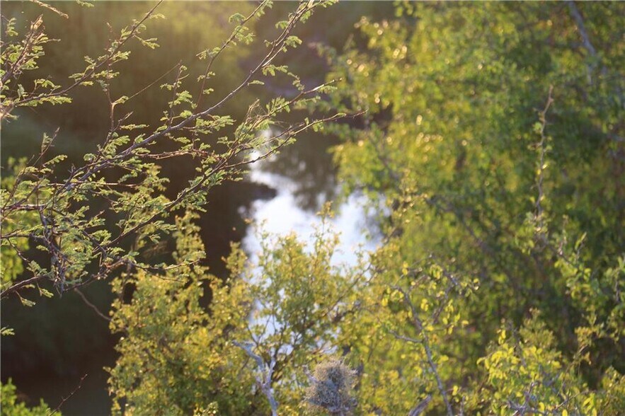 More Photos Of 0 CR 20, Petronila Land For Sale