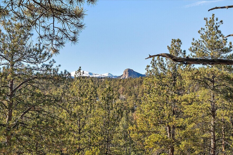 More Photos Of , Pine Land For Sale