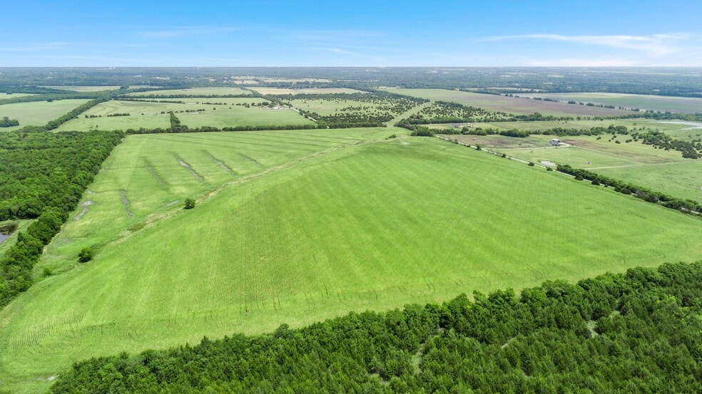 More Photos Of CR-1067, Greenville Land For Sale