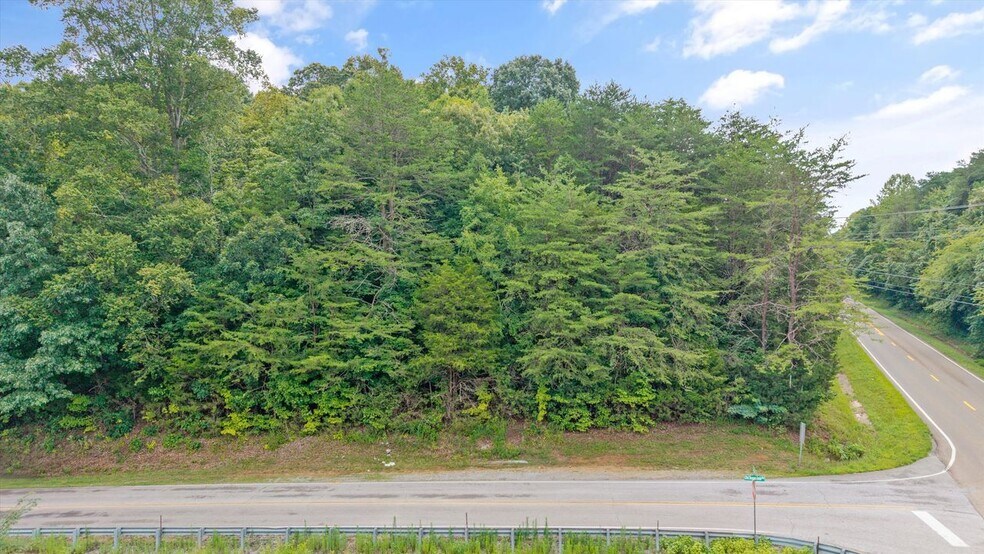 More Photos Of 00 Old Sugar Limb Rd, Loudon Land For Sale