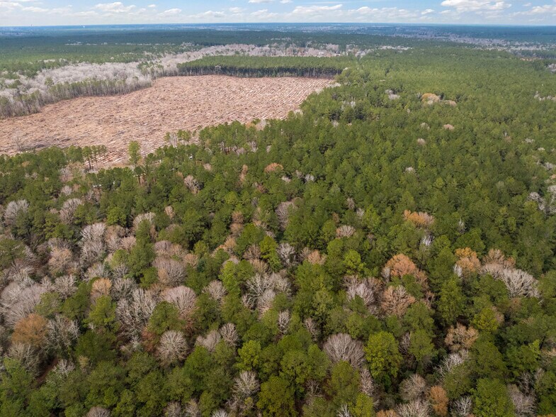 More Photos Of TBD 11 acres Tatoo Rd, Glenmora Land For Sale