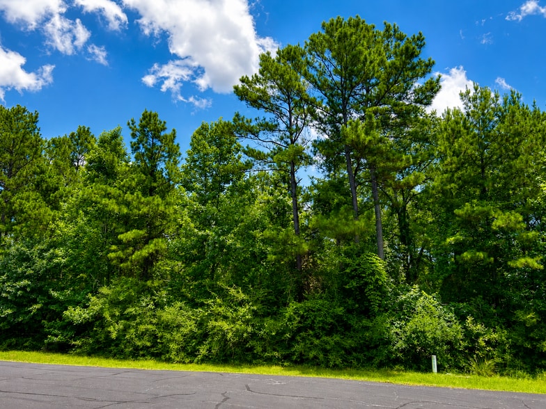 More Photos Of 17847 Appaloosa dr, Waller Land For Sale