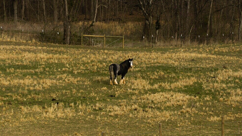 More Photos Of 1185 Jack Smith Rd, Rockfield Land For Sale