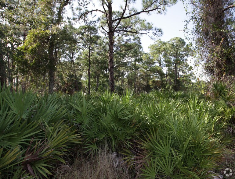 More Photos Of US 41, Fort Myers Land For Sale