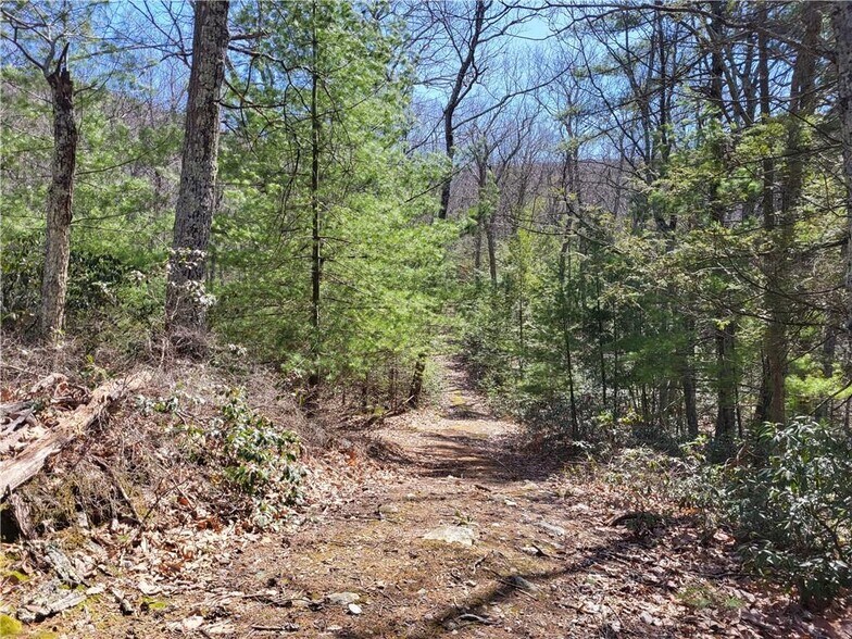 More Photos Of 8 Henry Rd, Cragsmoor Land For Sale