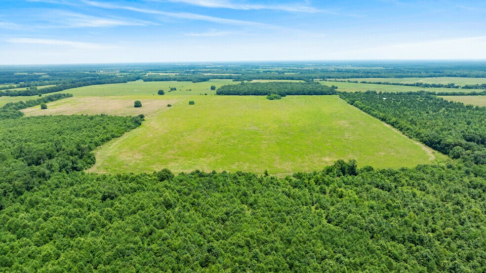More Photos Of 449 County Road 1357, Clarksville Land For Sale