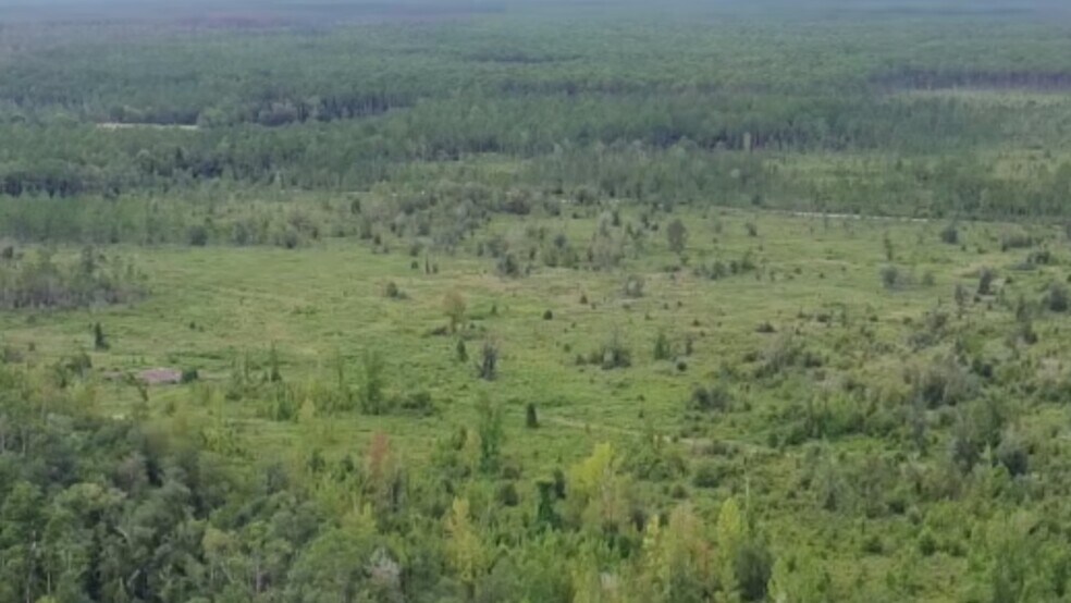 More Photos Of Noah Raulerson Road, Sanderson Land For Sale