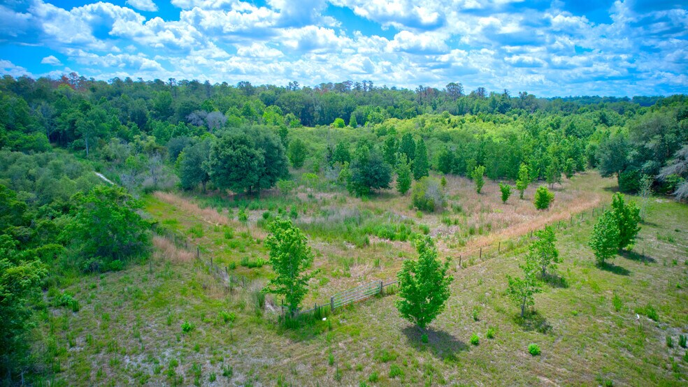 More Photos Of 3267 Neff Lake Rd, Brooksville Land For Sale
