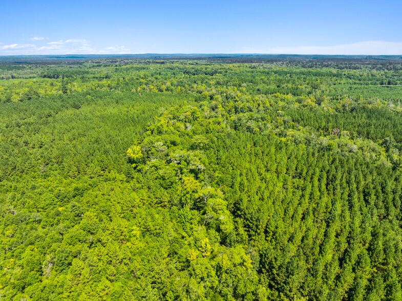 More Photos Of 7471 Highway 155, Saline Land For Sale