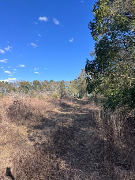 More Photos Of 16982 SE Highway 42, Weirsdale Land For Sale