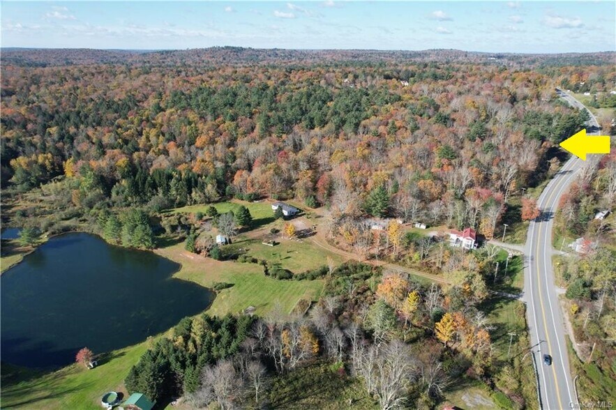 More Photos Of 1195 State Route 17B, Bethel Land For Sale
