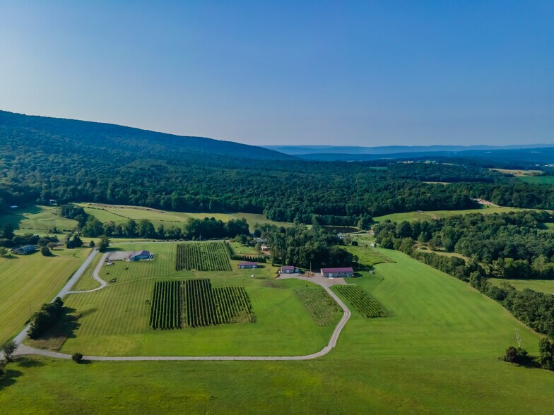 More Photos Of 596 Harman Rd, Halifax Winery Vineyard For Sale