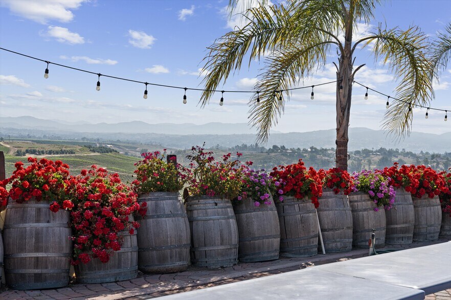More Photos Of 41220 Calle Contento, Temecula Winery Vineyard For Sale