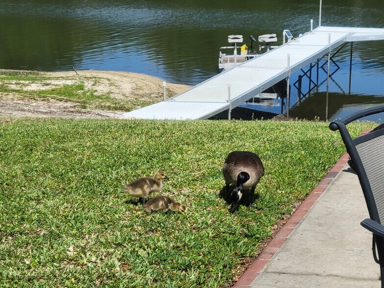 More Photos Of 15400 S US Highway 301, Summerfield Office For Sale