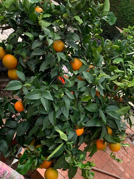 More Photos Of ,  Unknown For Sale