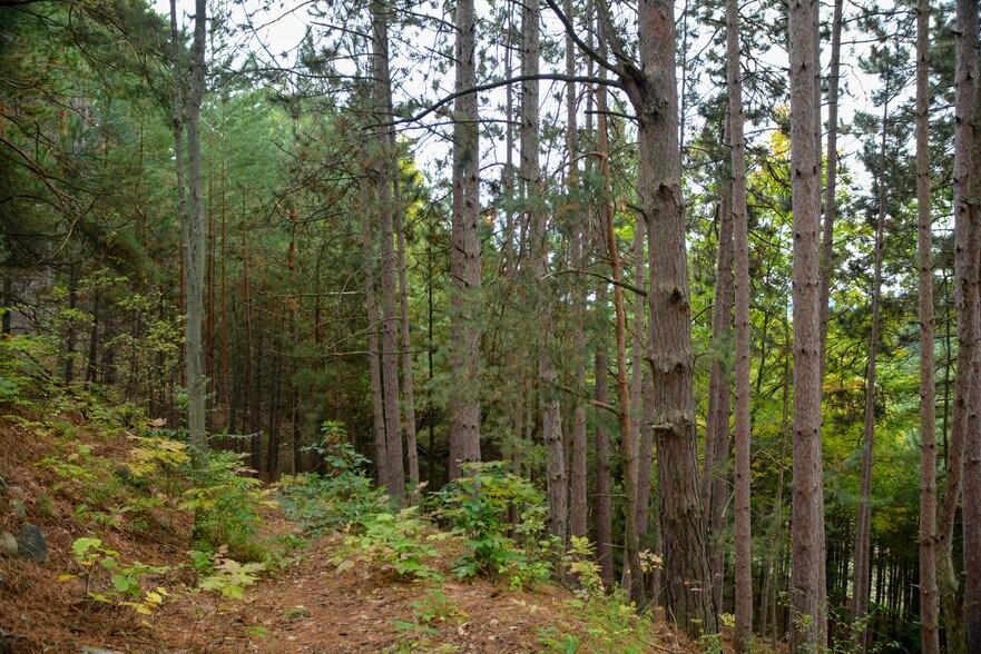 More Photos Of E Carter Rd, Traverse City Land For Sale