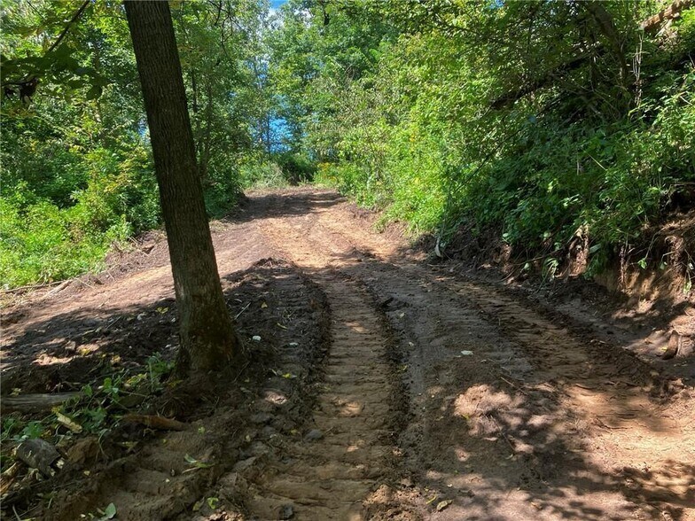 More Photos Of N3953 Bear Pen Rd, Arkansaw Land For Sale