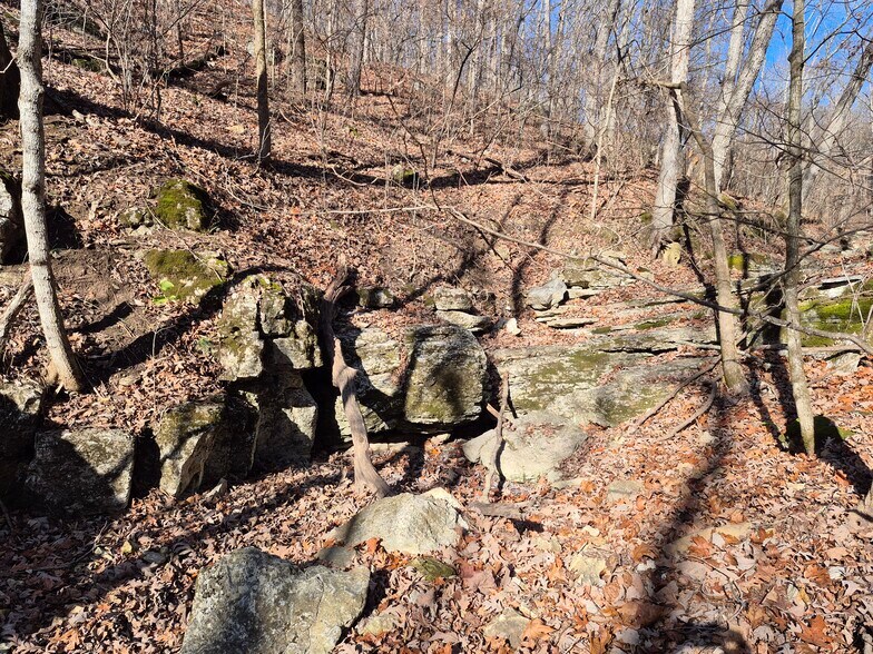 More Photos Of Logan School Rd. (30.2+/- Acres), New Florence Land For Sale