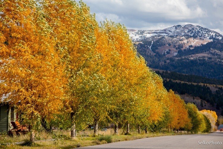 More Photos Of 9130 Village Way, Victor Land For Sale