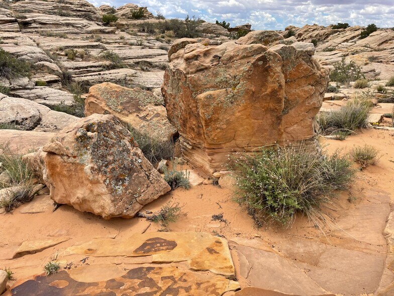 More Photos Of 000 Bell Cow Rd Aka Rock Art Ranch Rd, Winslow Land For Sale