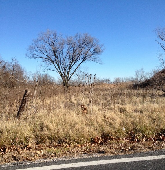 More Photos Of Mccormick Ave, Baltimore Land For Sale