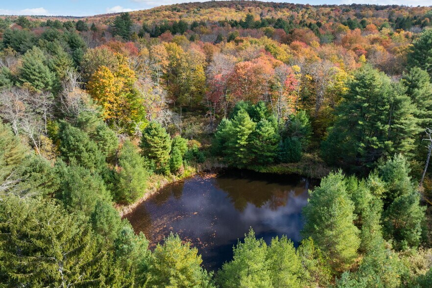 More Photos Of 378 Gregory Rd, Monticello Land For Sale