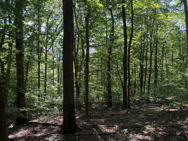 More Photos Of Rainbow Trl, Waverly Land For Sale