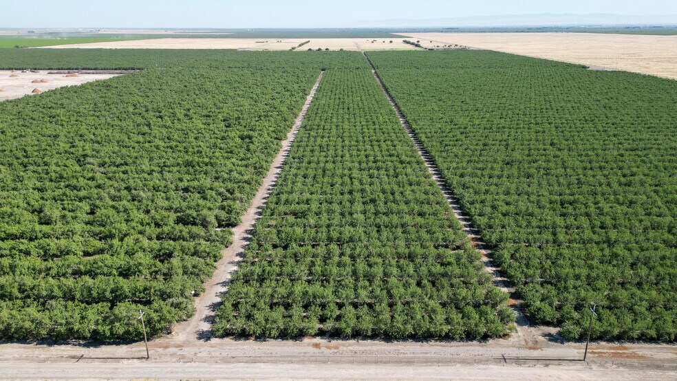 More Photos Of 11885 Road 9, Firebaugh Land For Sale