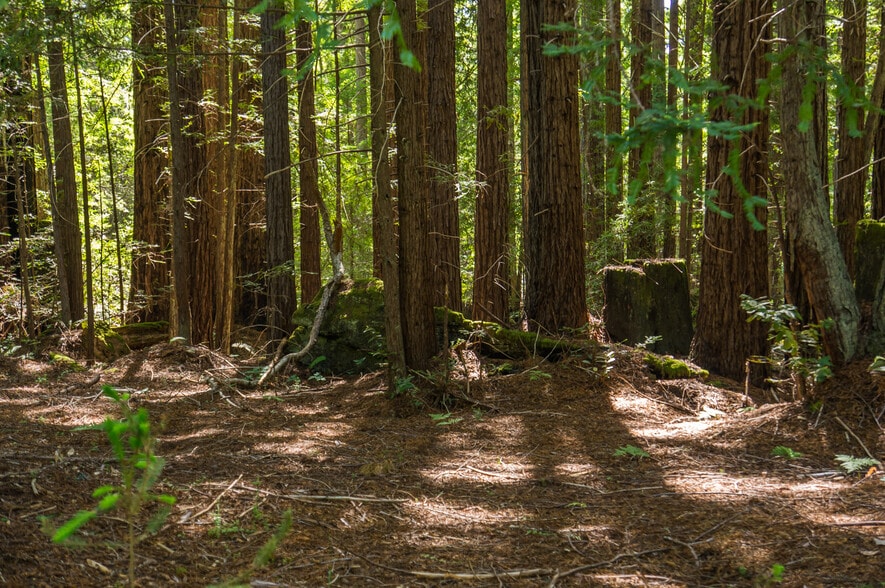 More Photos Of 16401 South Highway 1, Manchester Land For Sale