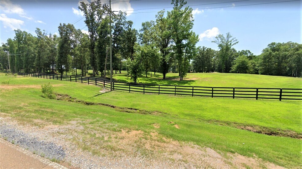 More Photos Of 230 Highway 51 S, Hernando Land For Sale