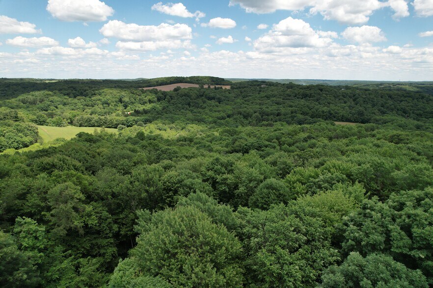 More Photos Of 11811 Gaston Rd, Negley Land For Sale