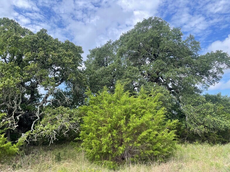 More Photos Of TBD CR 206, Lampasas Land For Sale